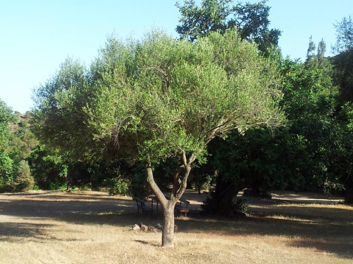 La Casa Di Sara Villa Pula Eksteriør bilde