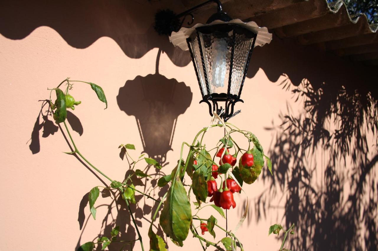 La Casa Di Sara Villa Pula Eksteriør bilde